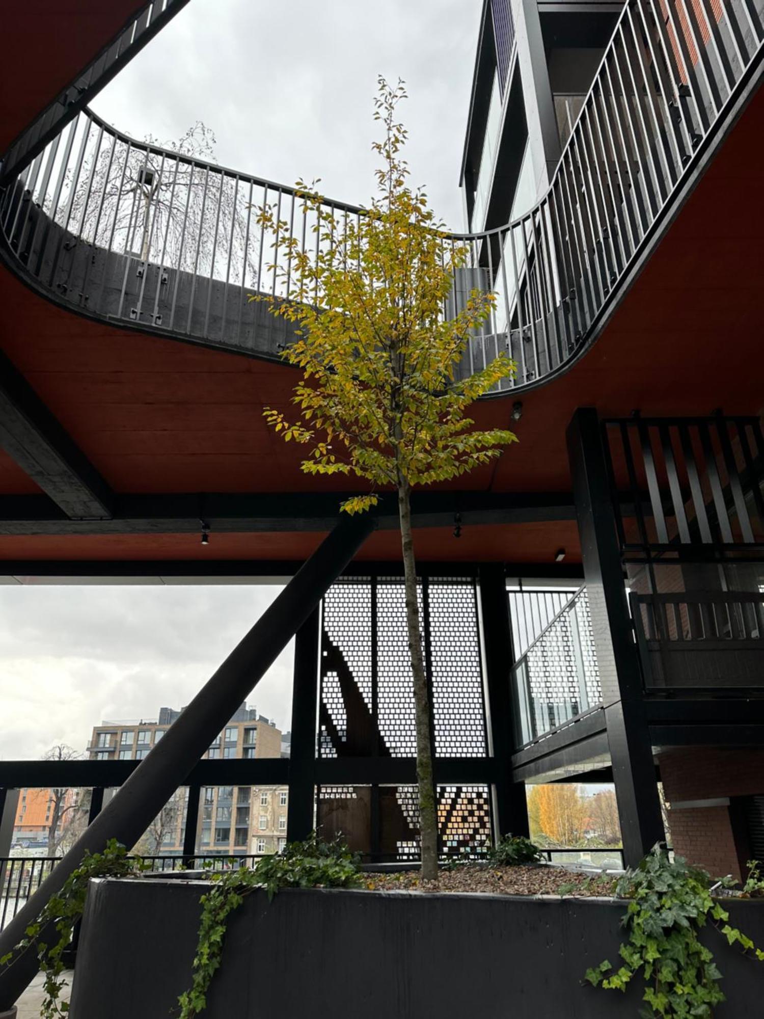 Eak Apartments-Nadmotlawie Gdańsk Exteriör bild