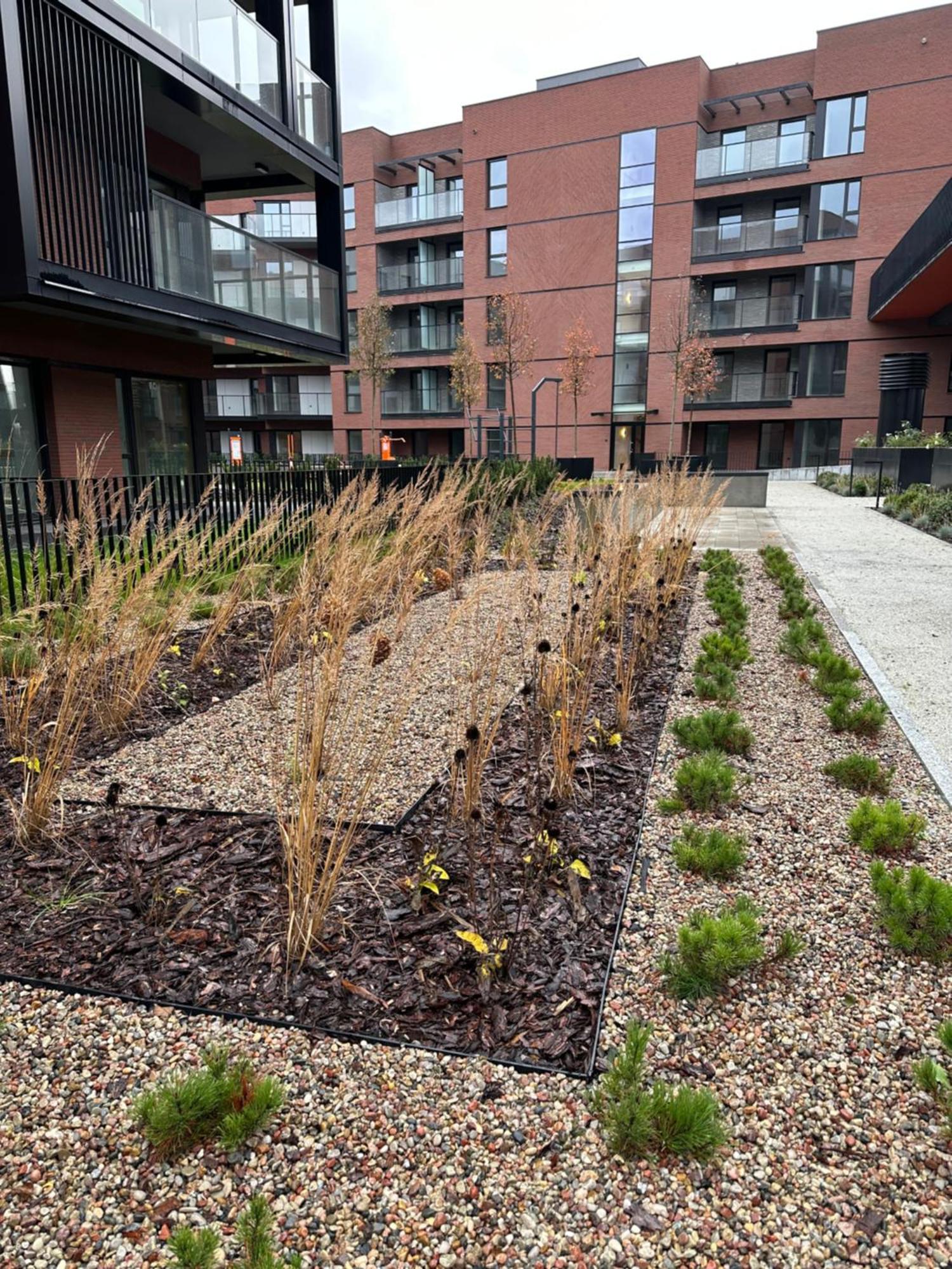 Eak Apartments-Nadmotlawie Gdańsk Exteriör bild